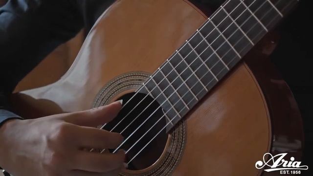 Aria El Clasico - C201