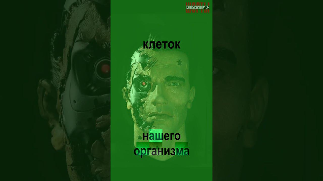 Фрэнсис Эшкрофт «Искра жизни. Электричество в теле человека» #книги #научпоп #nonfiction смотреть онлайн