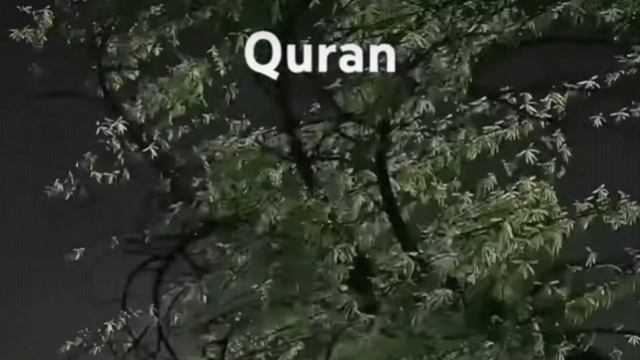 surh 3_Ayat 8/14 Al Imran Quran with urdu hindi translation смотреть онлайн