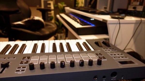 The BEST Midi Keyboard for FL Studio! Novation FLkey 61 Review