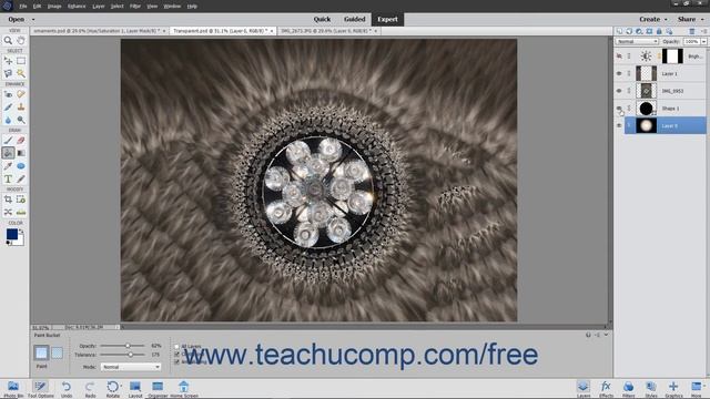 Photoshop Elements 2020 Tutorial Hiding and Showing Layers Adobe Training смотреть онлайн