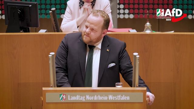 Gehören Sie zu den „Bürgern 1. Klasse“ der Grünen? – Sven Tritschler (AfD) смотреть онлайн