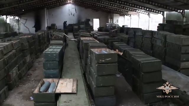 Ирина Волк Крупный арсенал с различными боеприпасами обнаружили полицейские в Х смотреть онлайн