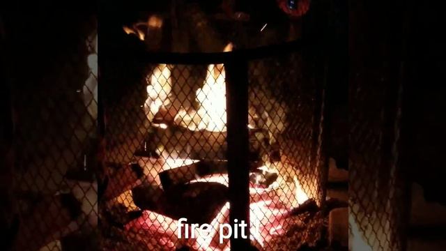 Morton Arboretum смотреть онлайн