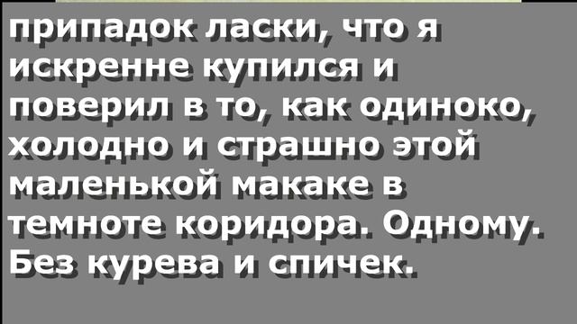 Чербелоидный подкаст #56 - Ласка и лицемерие - оружие каджита смотреть онлайн