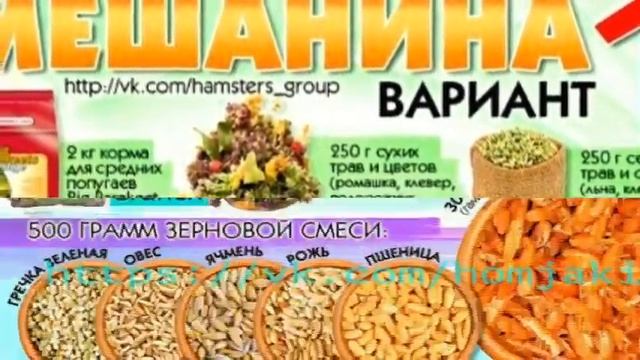Мешанина для джунгарских хомяков. Следовать строго по рецепту) смотреть онлайн