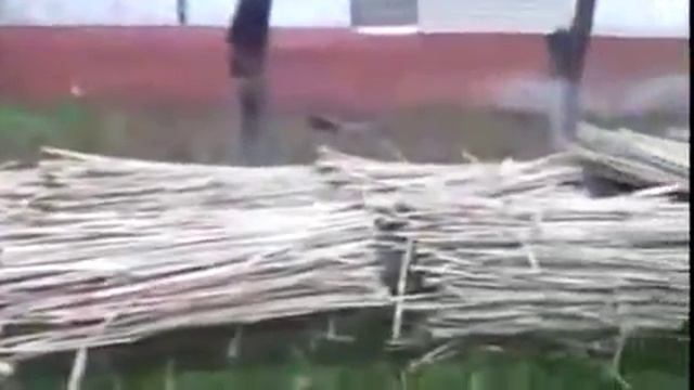 Народные методы утепления труб смотреть онлайн