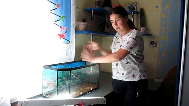 ТЕРРАРИУМ ДЛЯ ЯЩЕРИЦ смотреть онлайн
