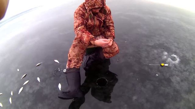 ВОРОНЕЖСКОЕ ВОДОХРАНИЛИЩЕ 2016 смотреть онлайн