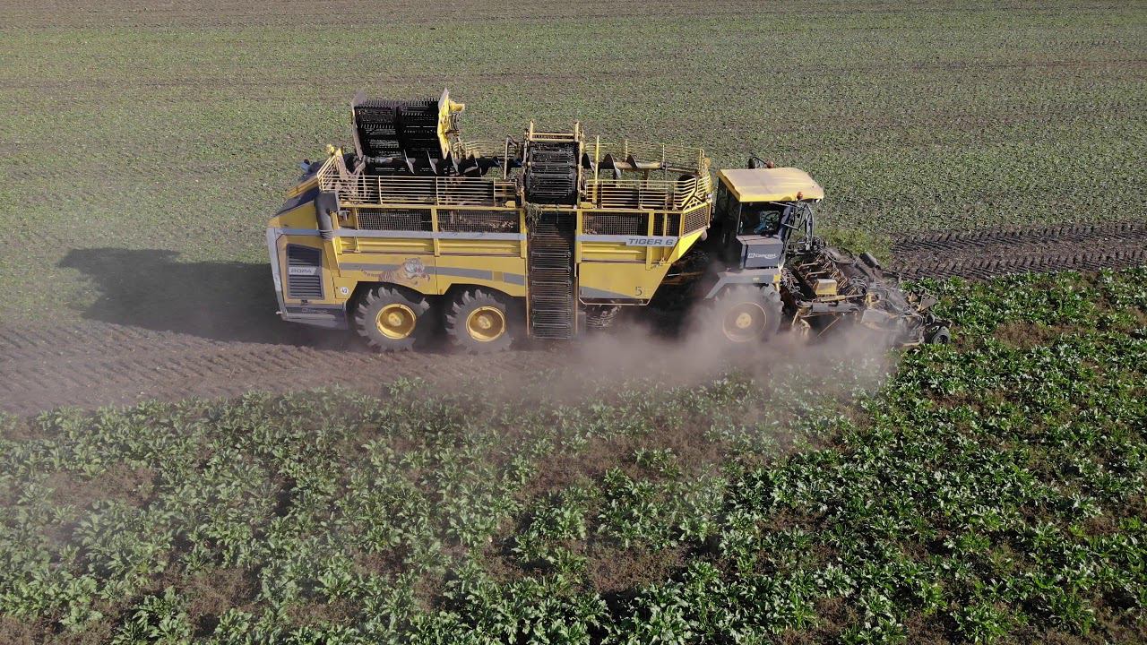 Комбайны Ropa Euro Tiger 6 в работе. смотреть онлайн
