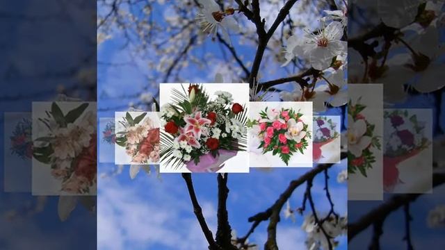 С ДНЕМ РОЖДЕНИЯ, ЮЛЯ! ПОЛЬ МОРИА. ДУША НА ДВОИХ смотреть онлайн