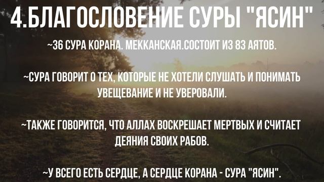 Благословения некоторых сур Корана |Сура, которая защити от Даджаля |Сура, являющаяся сердцем Коран