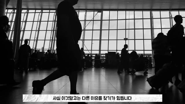 '바퀴벌레가 낫다' 프랑스 빈대와의 전쟁 선포에 이어 서울의 절반까지 뚫어버린 '빈대' смотреть онлайн