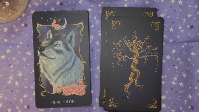 Kickstarter arrival! Unboxing and flip through of Moonsprites Oracle смотреть онлайн