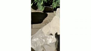 Садовые фигурки из МЯГКИХ ИГРУШЕК и СТАРОЙ ОБУВИ!