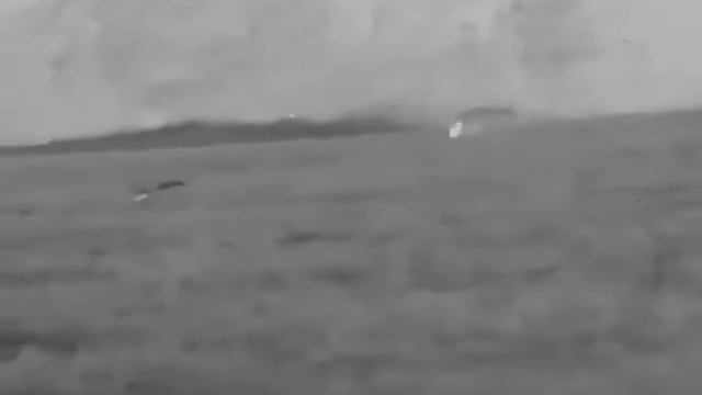 Night Pearl Seer 50 Plus thermal clip hunting Nyctereutes procyonoides смотреть онлайн