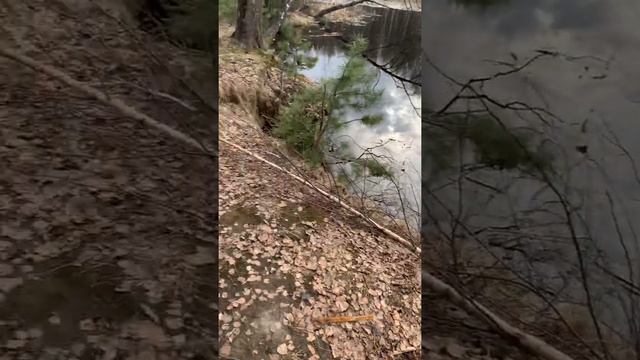 Рыбалка Зеленоград,рыбы нет ? смотреть онлайн