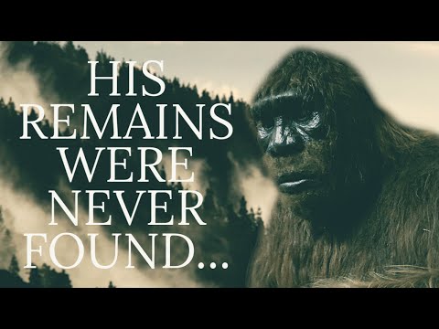 INTENSE CLOSE ENCOUNTER WITH BIGFOOT RECORDED ON AUDIO смотреть онлайн