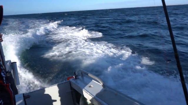 Deep Sea Fishing Sydney Offshore! Many New Unusual Species Caught! смотреть онлайн