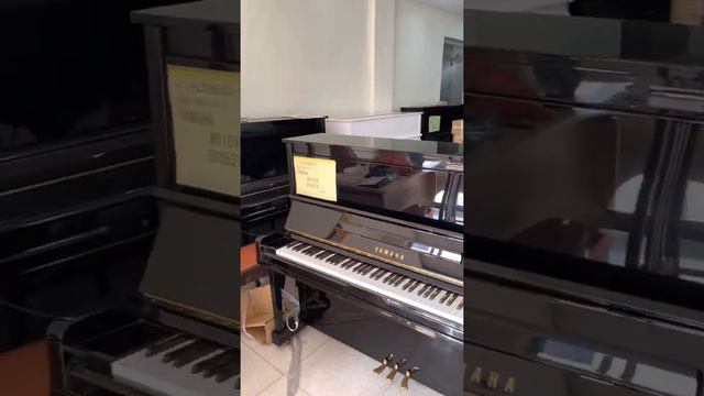 Nơi bán đàn piano uy tín tại Hải Dương смотреть онлайн