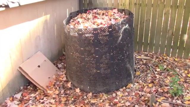 Responsible Raking смотреть онлайн