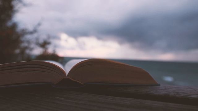 Земля Королей. Федор Нечитайло. смотреть онлайн