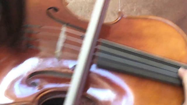 Ifstrings Private Stock Classic #163 Guarneri del Gesu 1743 