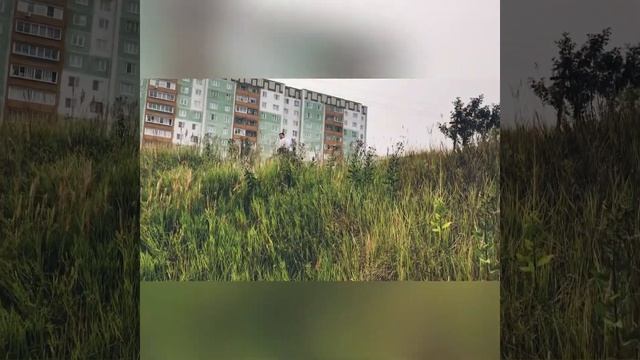 Квадроцикл CF MOTO X8. В деле. смотреть онлайн