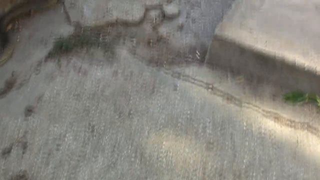 Змея во дворе дома Жуковка. смотреть онлайн