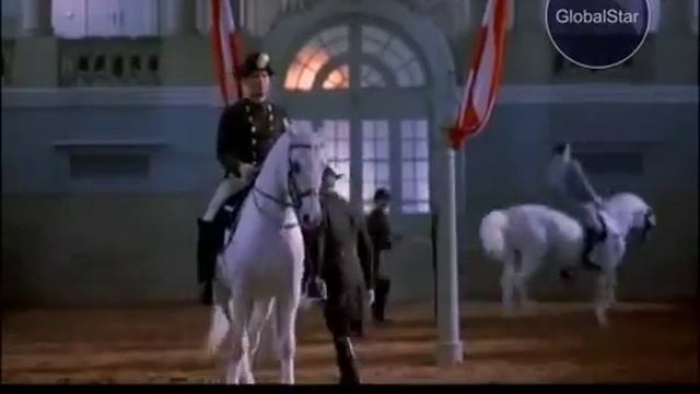 GLOBAL STAR TV P R O HORSE #04 МАСТИ ЛОШАДЕЙ смотреть онлайн