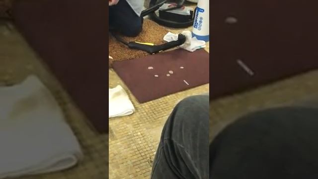 Удаление различных пятен с коврового покрытия смотреть онлайн