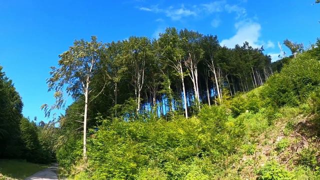 День 1 Ужгород - Мале Морске Око (Morske Okо)10.07.22 смотреть онлайн