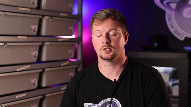 Should You Start with Pet or Investment Ball Pythons? | New Ball Python Breeder Tips смотреть онлайн