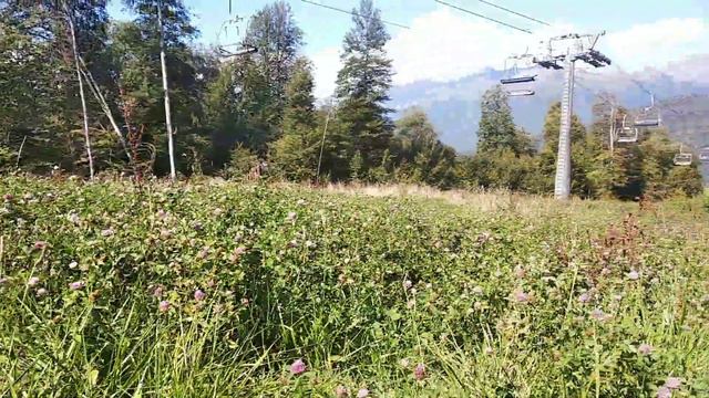 Красная поляна, Сочи. смотреть онлайн