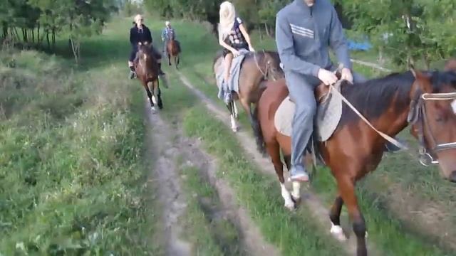 Юля на беременной лошади )) смотреть онлайн