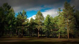 Истории из жизни 📕 Мама оставила меня на 13 лет. За что? 📘 Жизненные истории