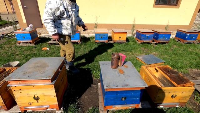 Пропала матка в апреле - не беда всё исправим . смотреть онлайн