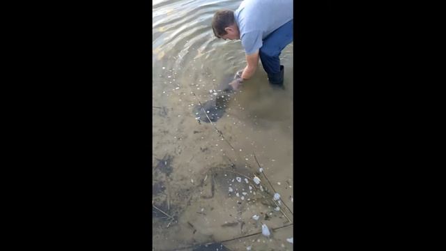 Мотопомпа своими руками для очистки пруда. смотреть онлайн