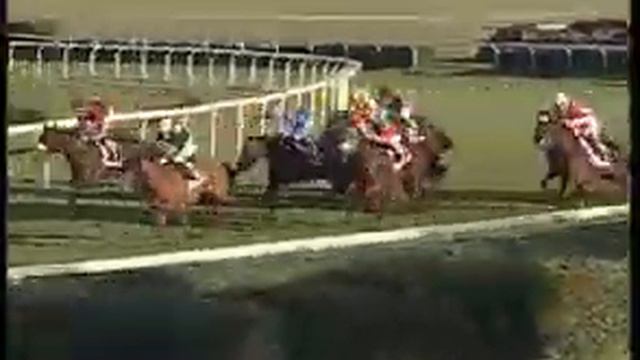 Premio Buontalenta Lanw. Stud - M.G. Vali 2011 (LISTED RACE) смотреть онлайн