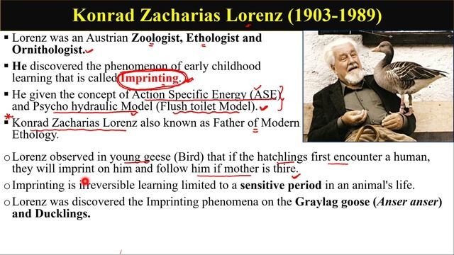 Ethology | Animal Behaviour | Introduction of Ethology |History of Ethology| Psychology and Etholog смотреть онлайн