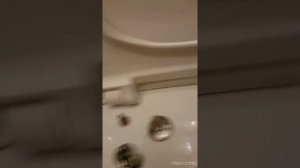 Крышка унитаза микролифт.  Roca