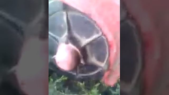 доработки мотоблока смотреть онлайн