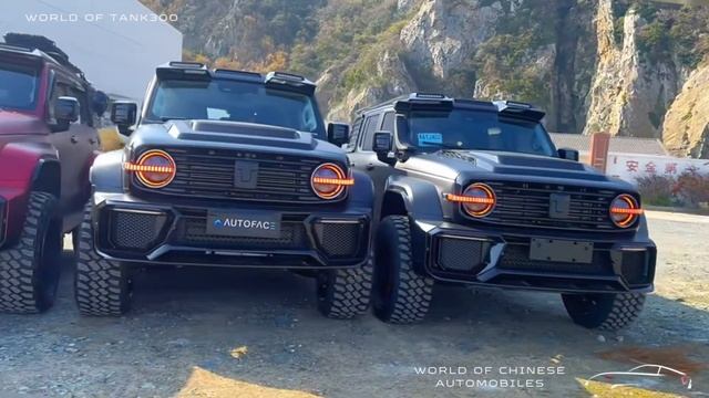 Tank 300 a monster goes off-road in China #tank300 #explorenature смотреть онлайн