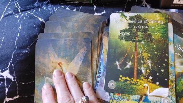 the sacred forest oracle смотреть онлайн