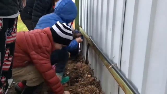 Смайлики Собрали собственный урожай грибов смотреть онлайн