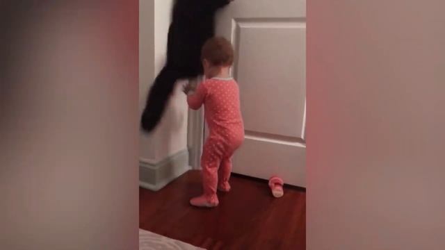 КОТ УЧИТ МАЛЕНЬКОГО РЕБЕНКА КАК ОТКРЫВАТЬ ДВЕРЬ!!!!!!!!!!!!! смотреть онлайн