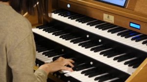 Pirates of the Caribbean 'Davy Jones Theme' Organ Cover