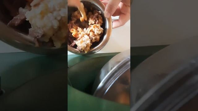 Кормление кота при ХПН и кальцивирозе д-7