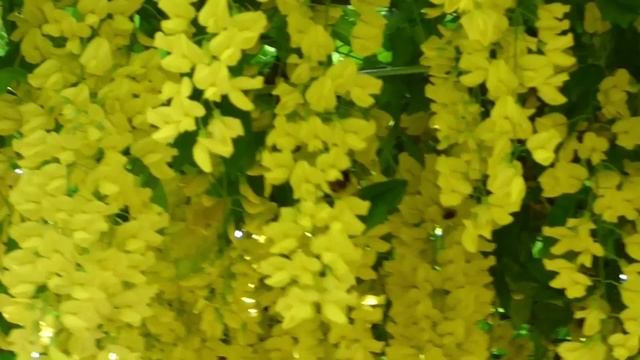 Laburnum Arch смотреть онлайн