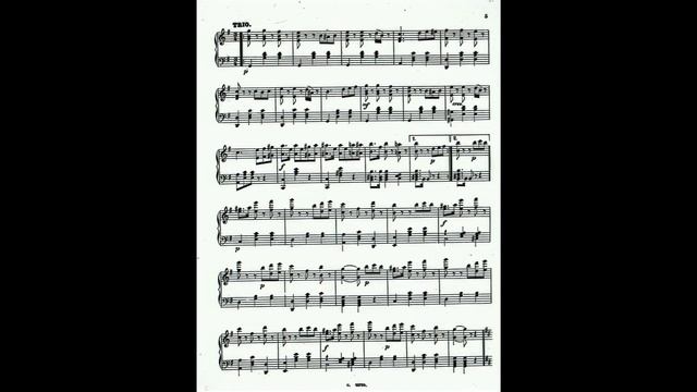 Eduard Strauss: Die Träumerin (The Girl Dreaming, 夢見る乙女) Polka Mazurka in D major Op. 208 (1882) смотреть онлайн